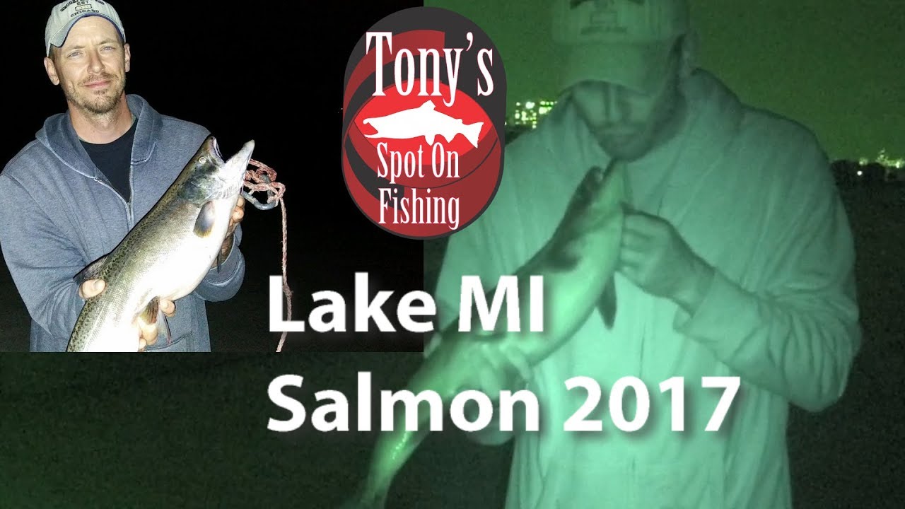 Lake Michigan Salmon 2017