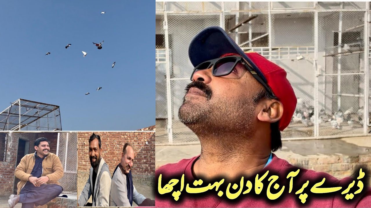 Aaj ka din MashaAllah kabootron ke hawaly se boht acha👍|| Ustad ch kamran 
