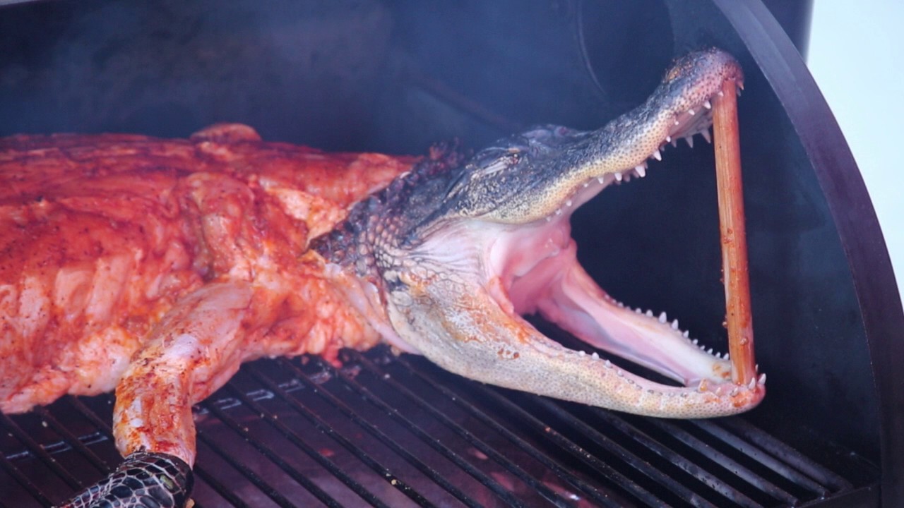 Smoking a Gator