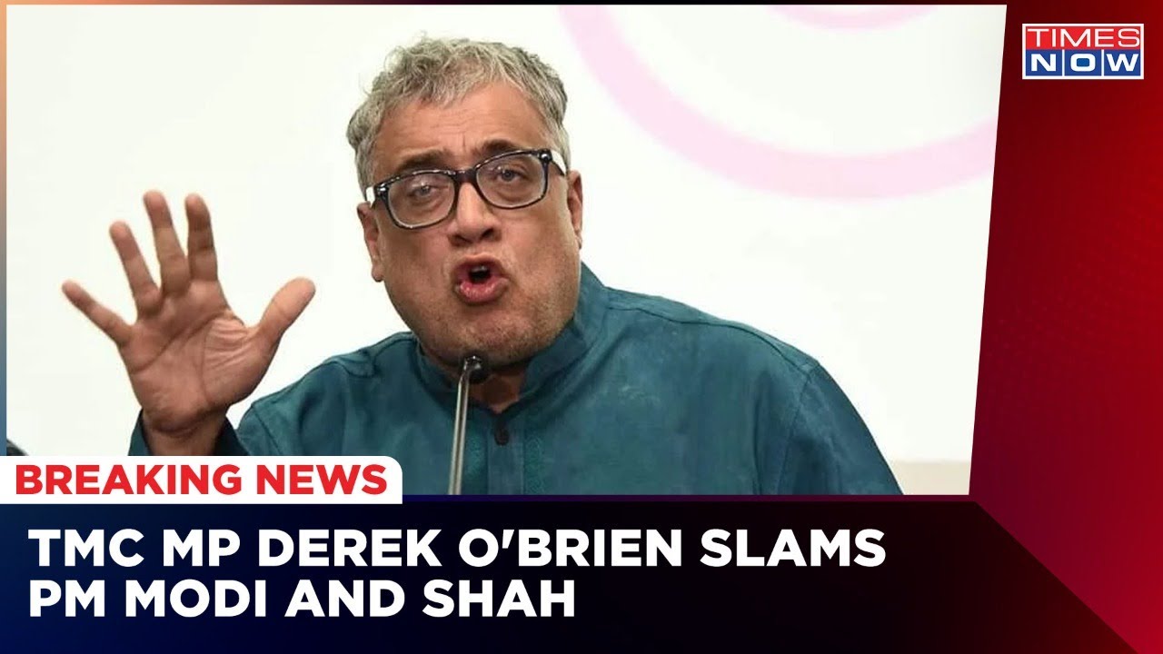 'Modi Shah Have Suspended Democracy', Says TMC MP Derek O'Brien Over Suspension | English News