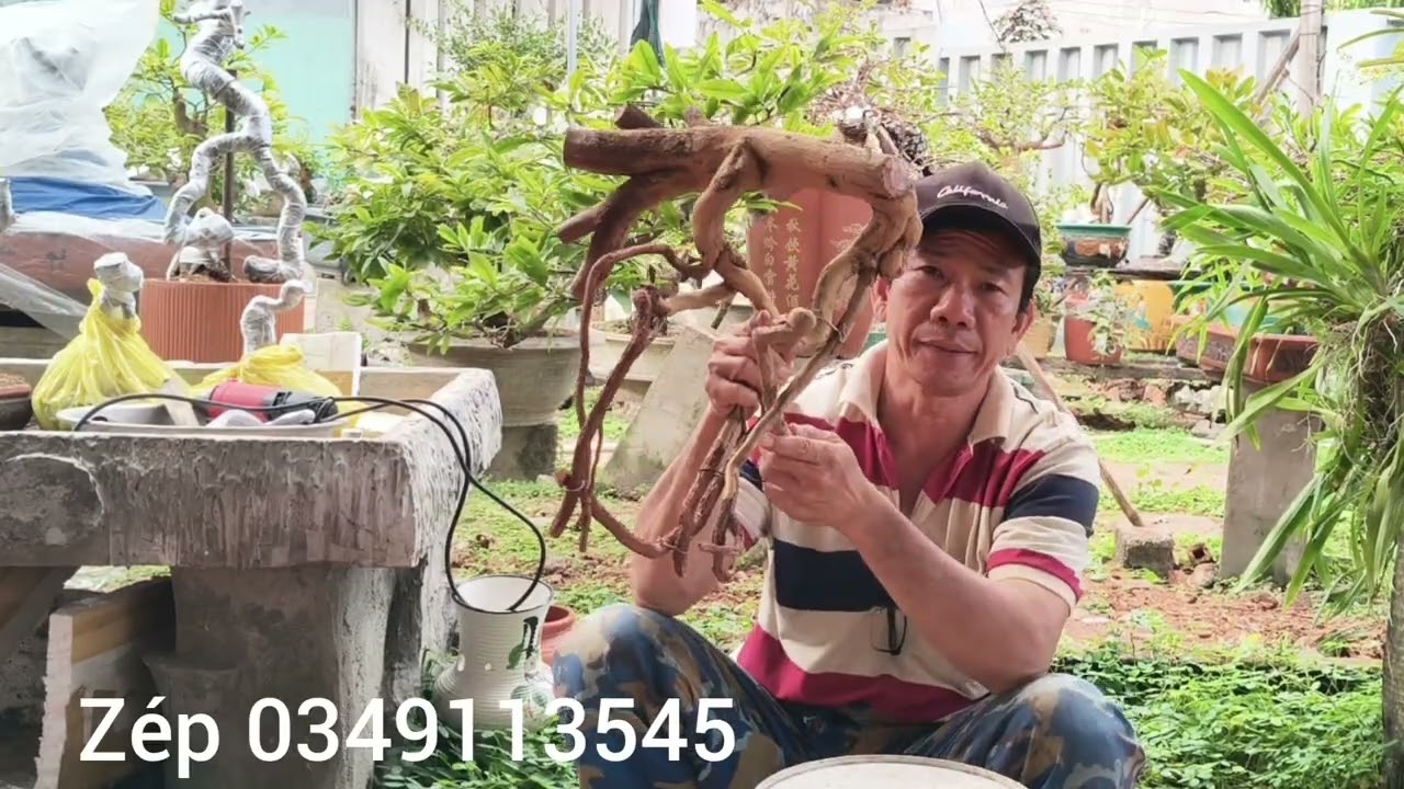 Săn Mai Rừng 