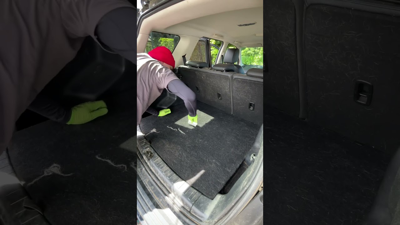 Satisfying pet hair removal #detailing #asmrcleaning #pethairremoval #furviking #carcleaning