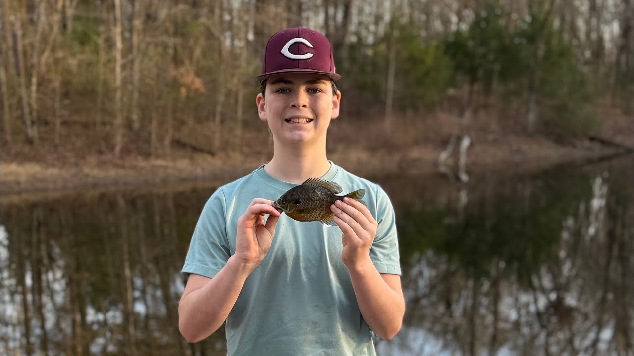 Bluegill fishing trip. (WARNING BIG BLUEGILL!!)