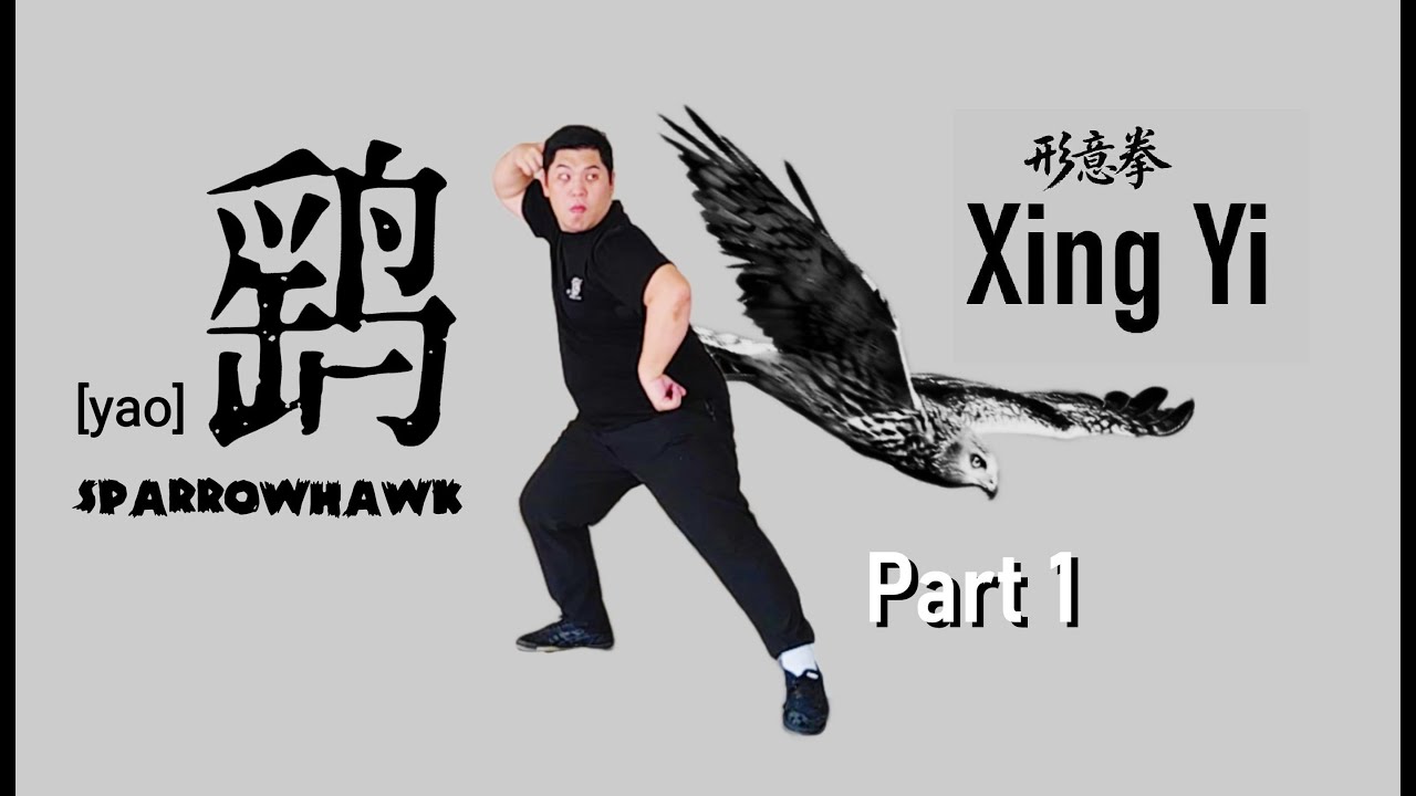 XingYiQuan - Sparrowhawk form application in takedown (12 animal) 形意拳 - 鹞形 摔法 grappling #xingyiquan