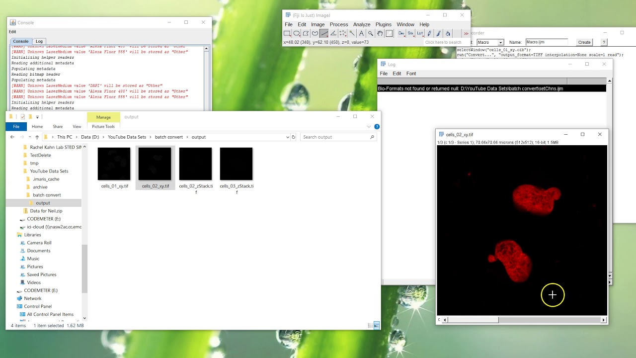 Fiji Is Just ImageJ - Batch Convert to Tif, Part 1
