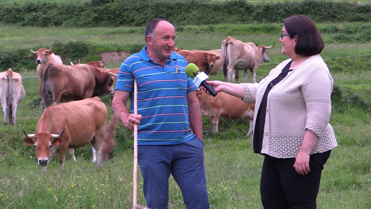 Eloy Rozada de Ganadería Llosa/El Collau de Porrúa / El Campo de Asturias