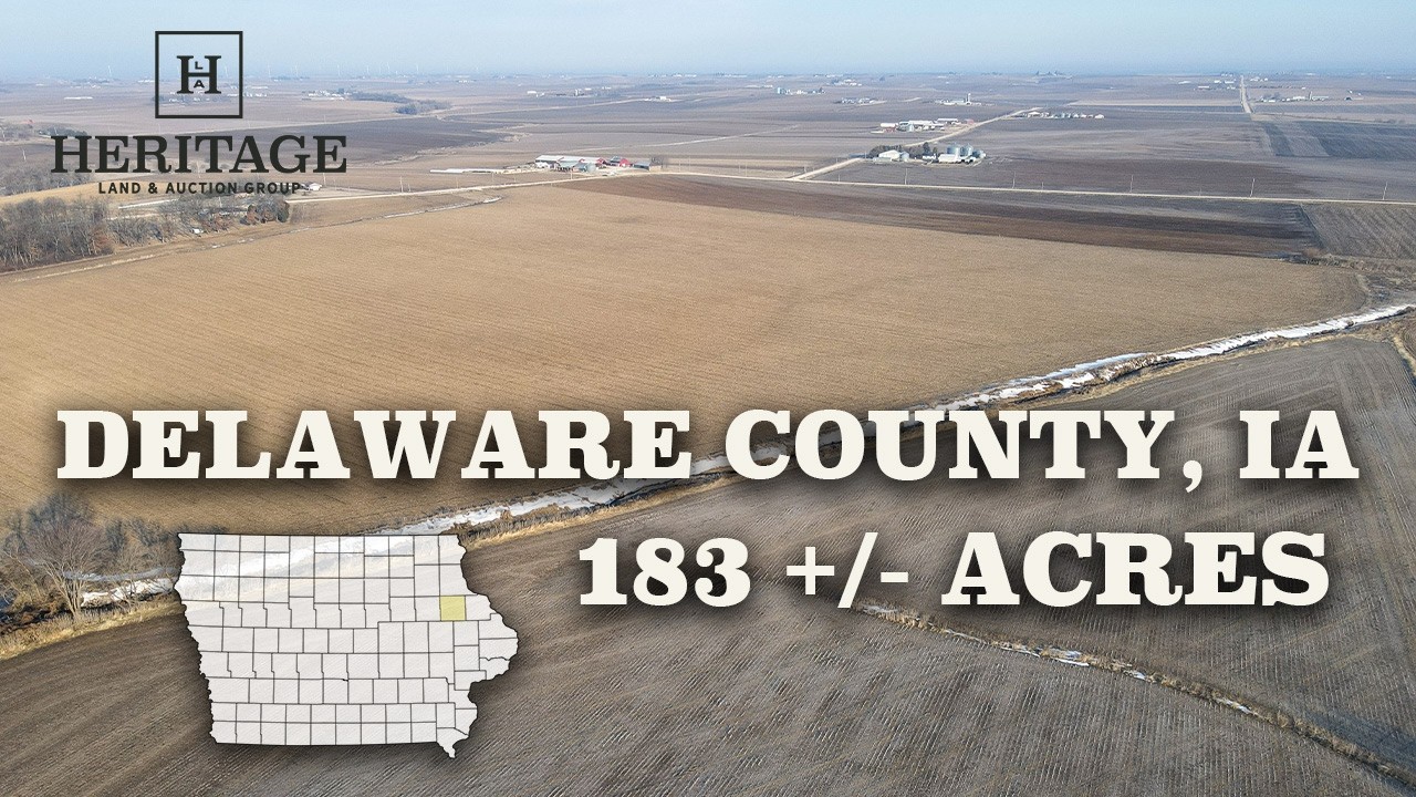 183 +/- Acres of Iowa Farmland For Sale | Delaware County, IA