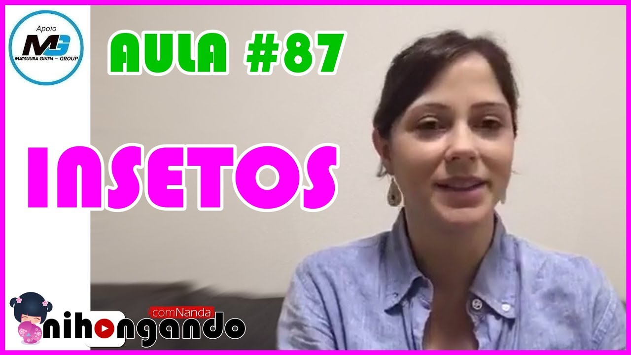 INSETOS - AULA #87