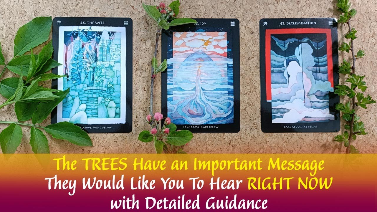 The Trees Have An Important Message That They Want You To Hear RIGHT NOW👉🌳📩🍃With Detailed Guidance👉🌳