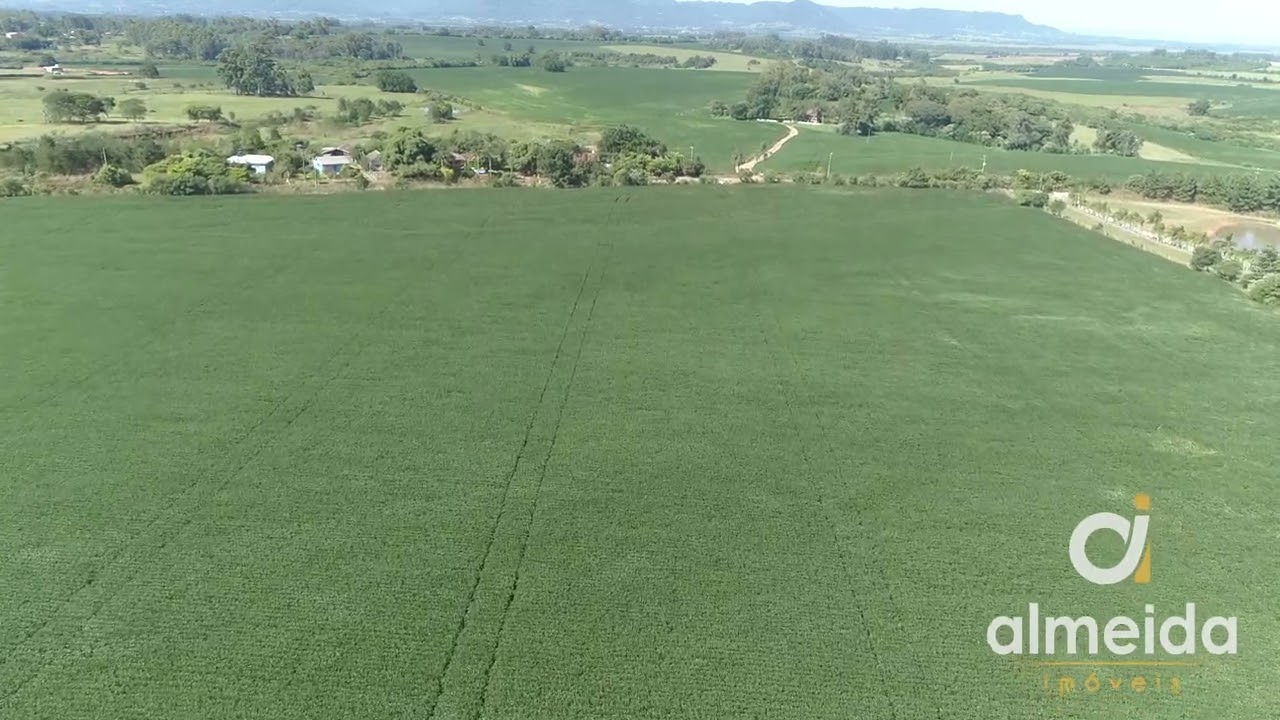 Área agricultável: 27 hectares de lavoura de soja, em plena produção
