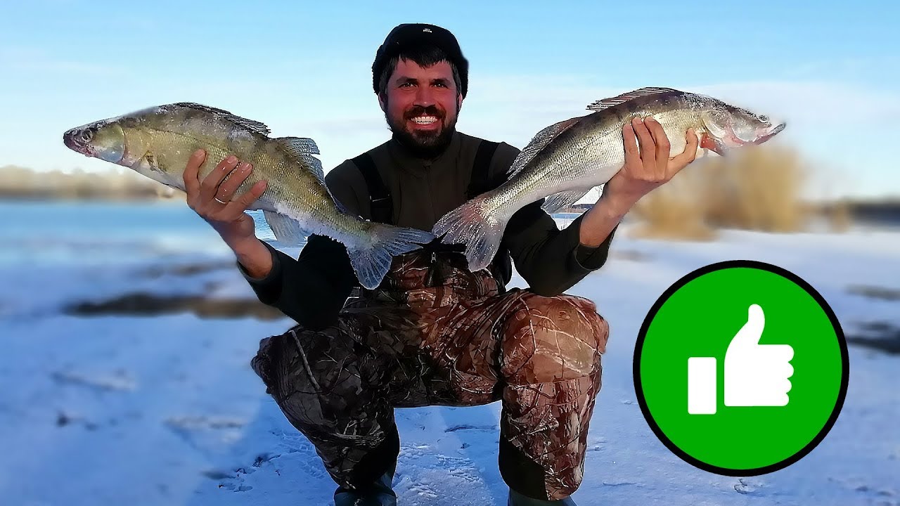 🔵 ЖОР СУДАКА! Открытие сезона с лодки.  Рыбалка на спиннинг в апреле 2019