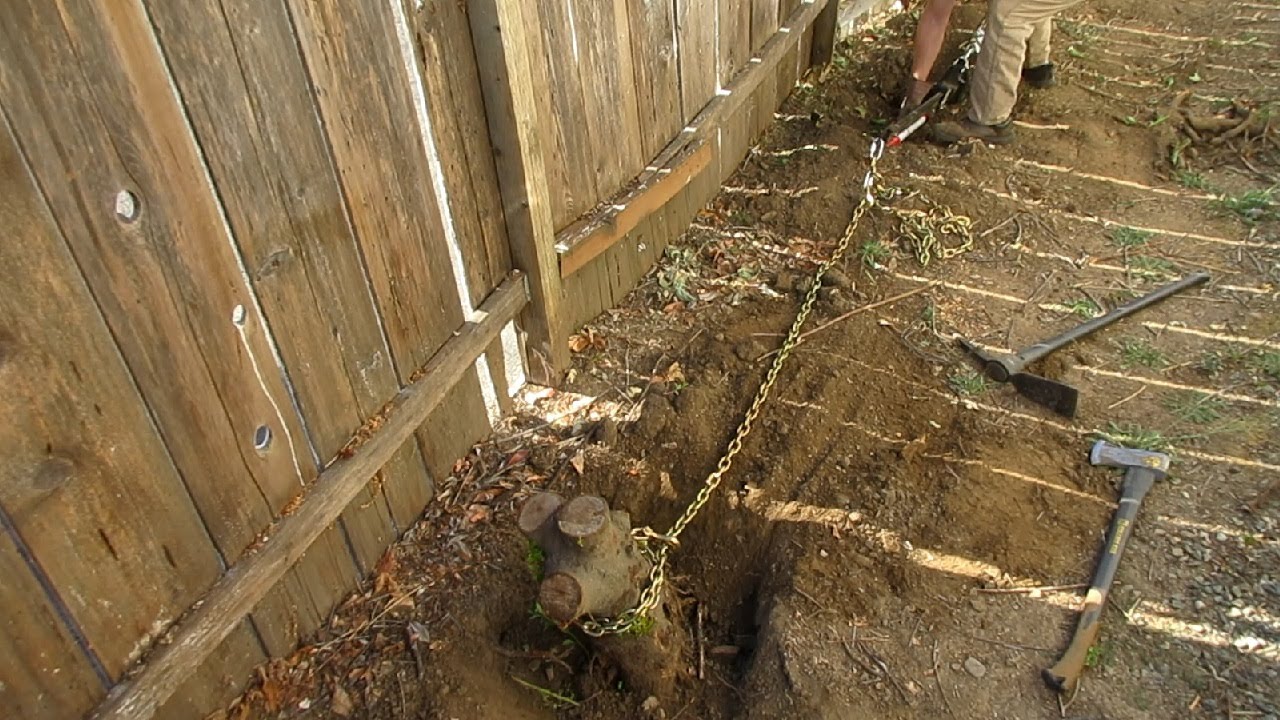 Tree Stump Removal with Hi-Lift Farm Jack Technique
