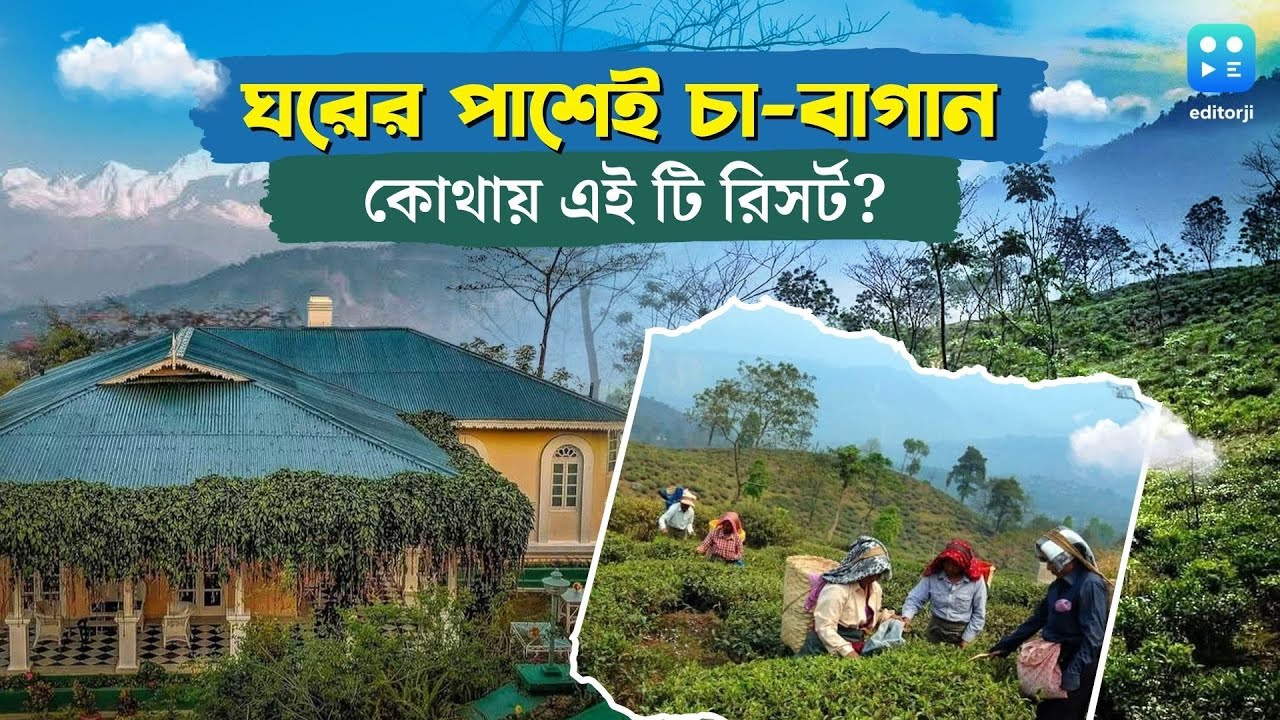 Glenburn Tea Estate: ঘরভাড়া প্রতি রাতে ৬২০০০ টাকা! গ্লেনবার্ন চা বাগানে ঘুরতে যাবেন?