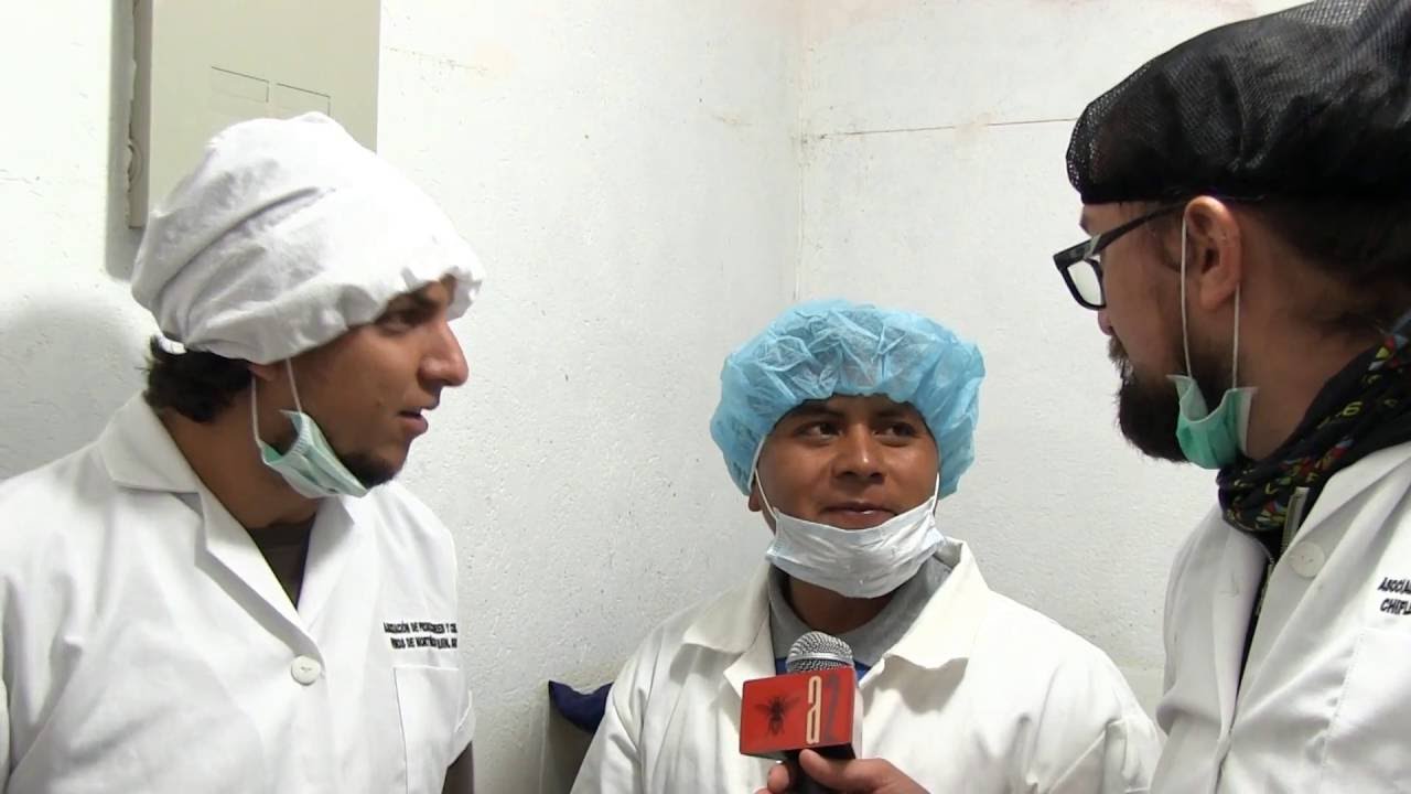 AVESPADOS / Programa 24 - Quito / Cotopaxi - Parte 2