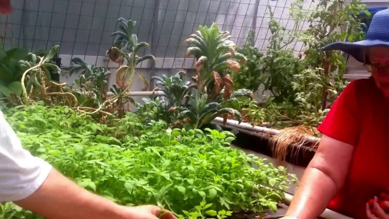 Making a Permaculture Homestead, Wicking Beds, Aquaponics, Raised Garden Beds and Food Forest