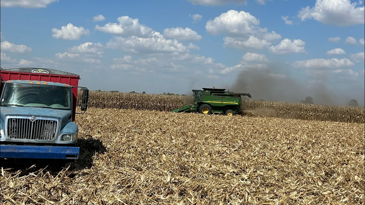Corn harvest on a Missouri dairy farm!