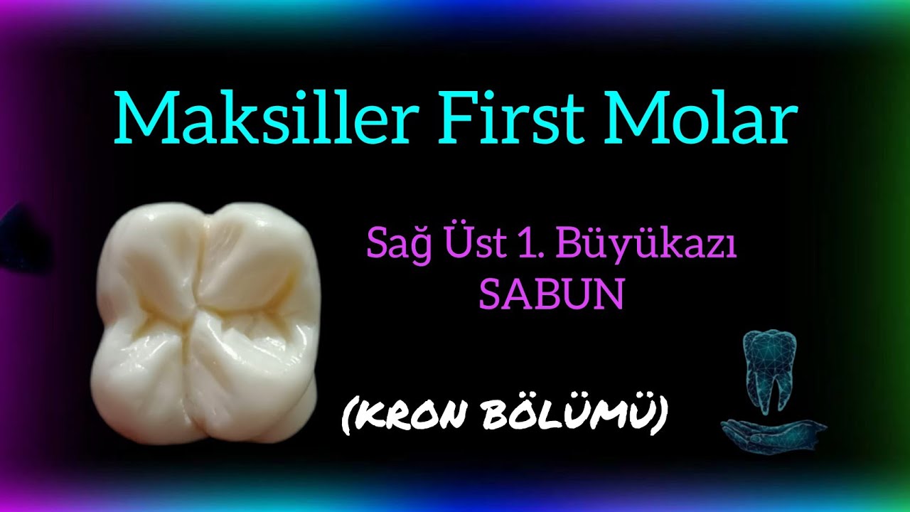 Maksiller 1. Molar (16 numara) Diş Yapımı // KRON