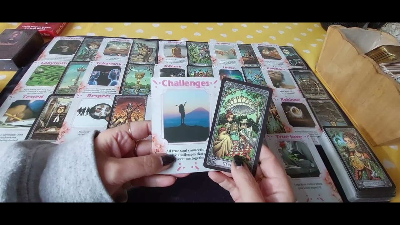 Leden Reading: Union met Past Life Soulmate
