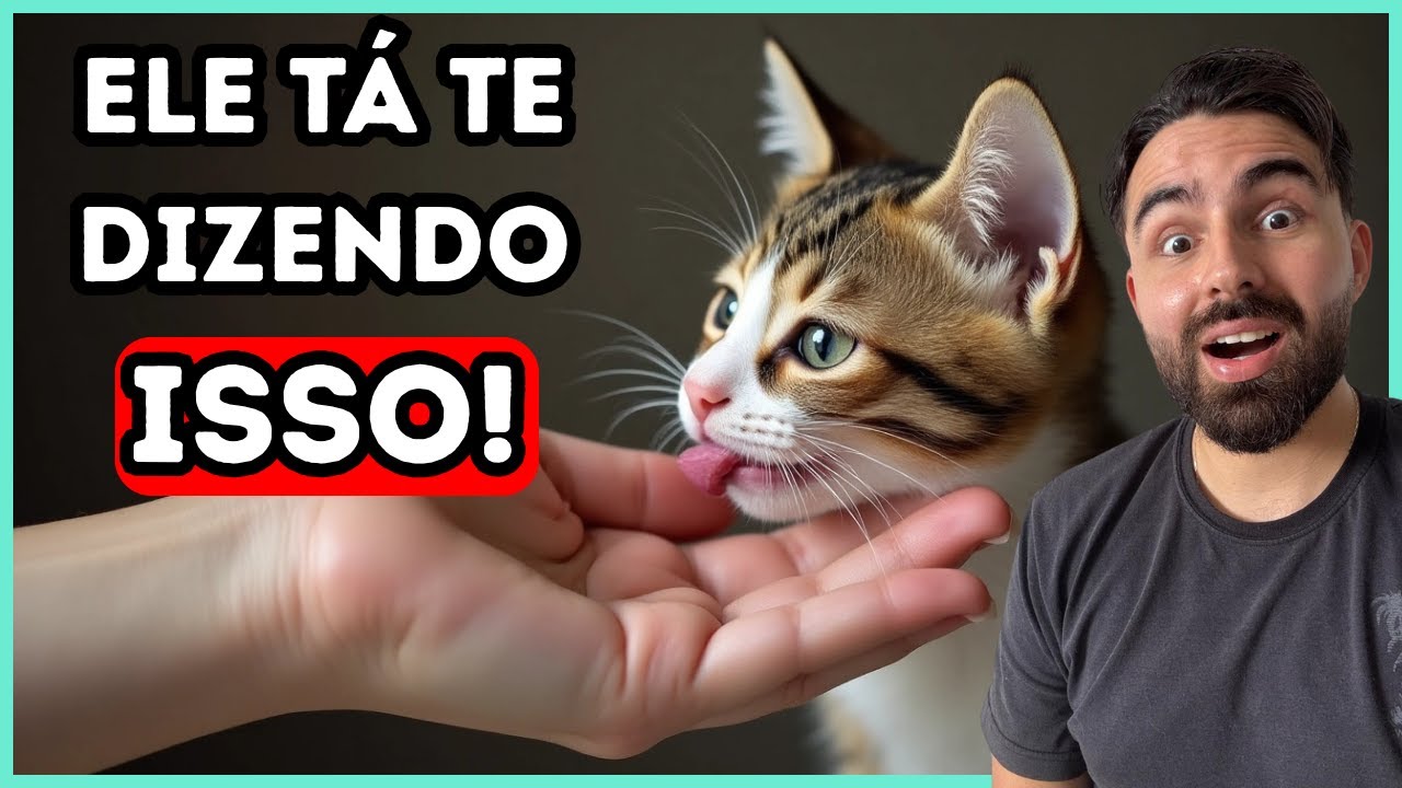 Quando Seu Gato Lambe Você, ELE ESTÁ DIZENDO ISSO… 🐱💬