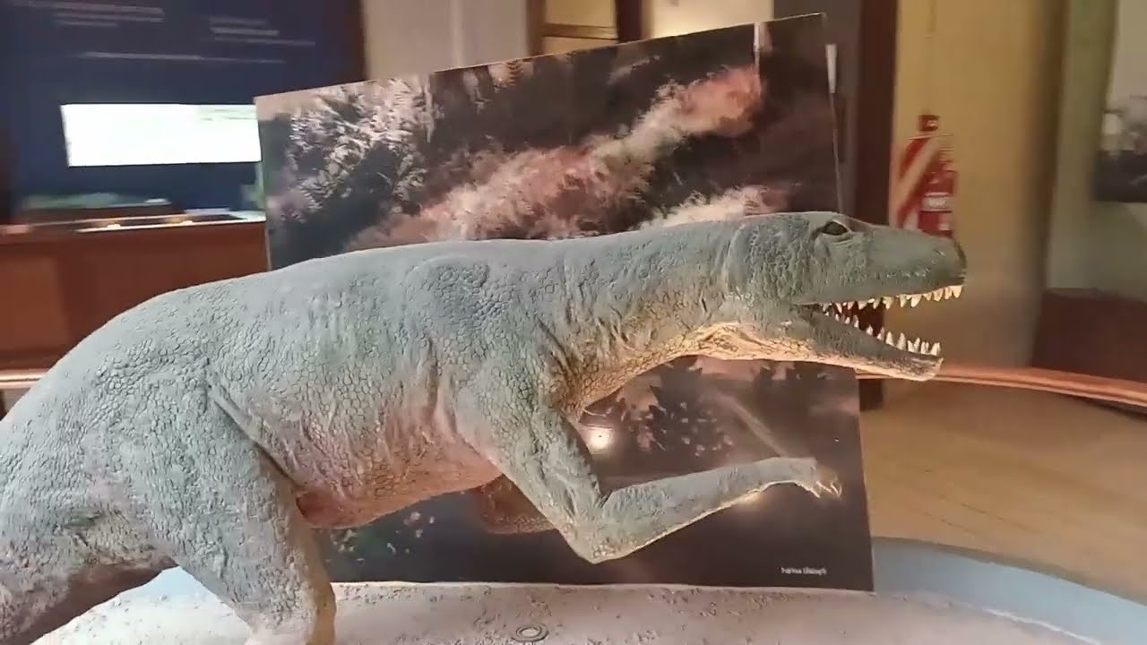 Museo de Ciencias Naturales de La Plata /Mini Vlog/