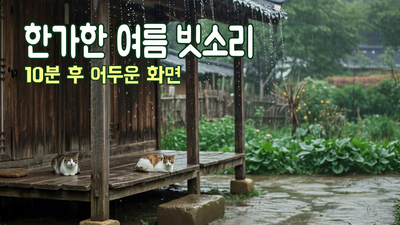 수면을 부르는 한가한 여름 빗소리｜10분 후 어두운 화면 ｜마음안정, 불면증극복, 층간소음극복