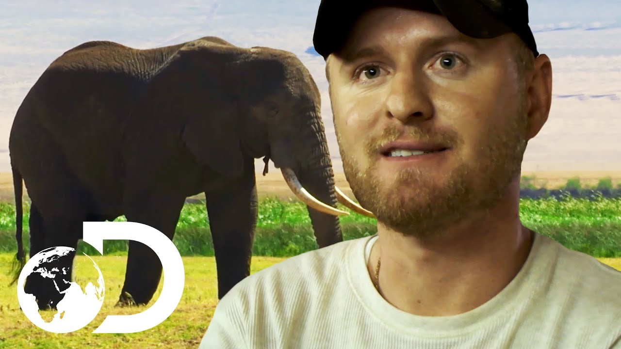 Fighting Poachers To Protect The Elephants Of Tanzania | Blood Ivory