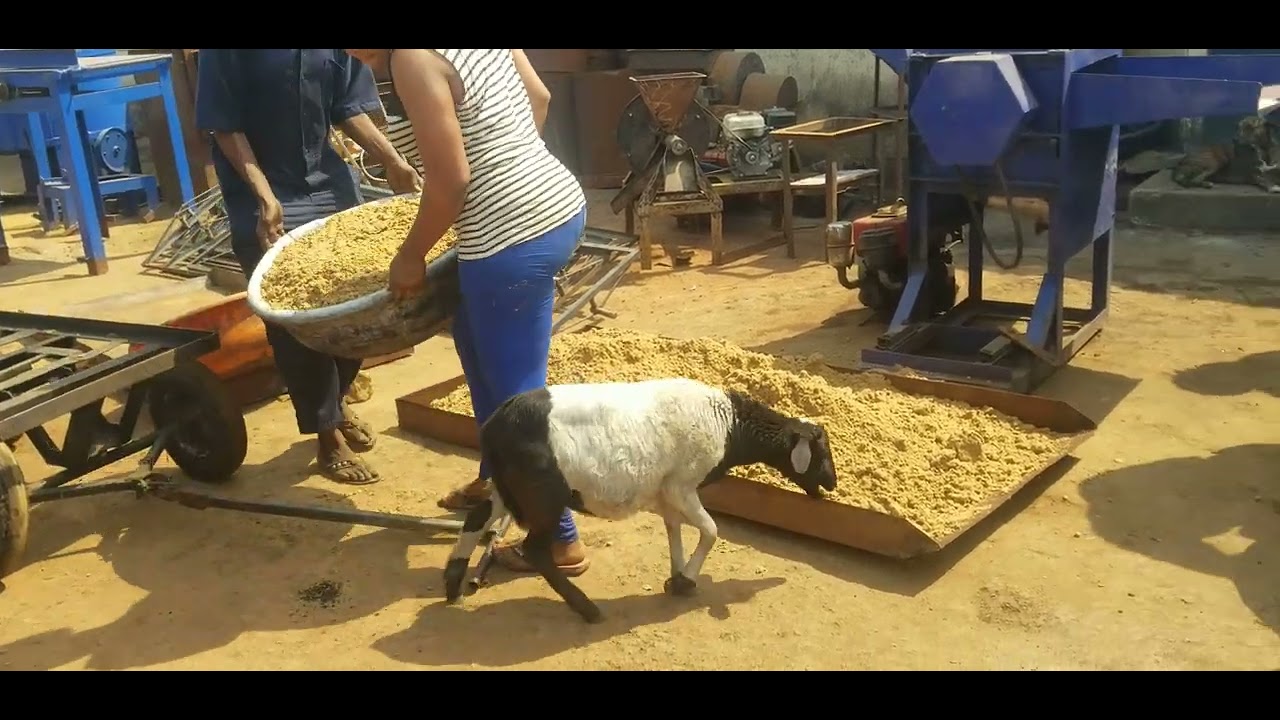 FINIC Transforming Brewery Spent Grain into Animal Feed