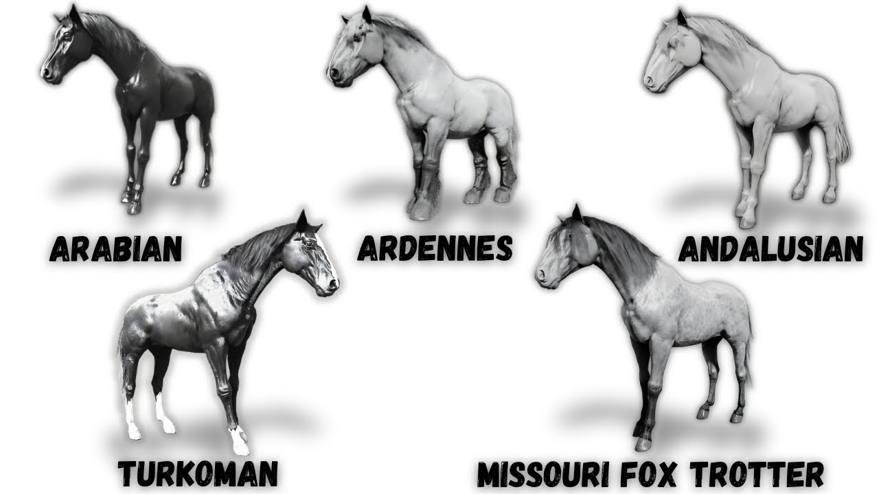 5 BEST HORSES in RDR2 Explained