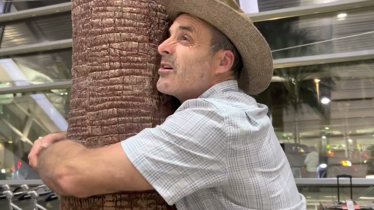Artificial Mexican Fan Palm, Washingtonia robusta