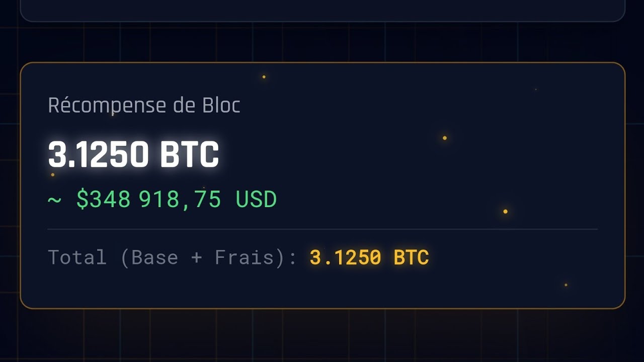 J&rsquo;ai Lanc&eacute; un Pool de Solo Mining Bitcoin en France (FindMyBlock)