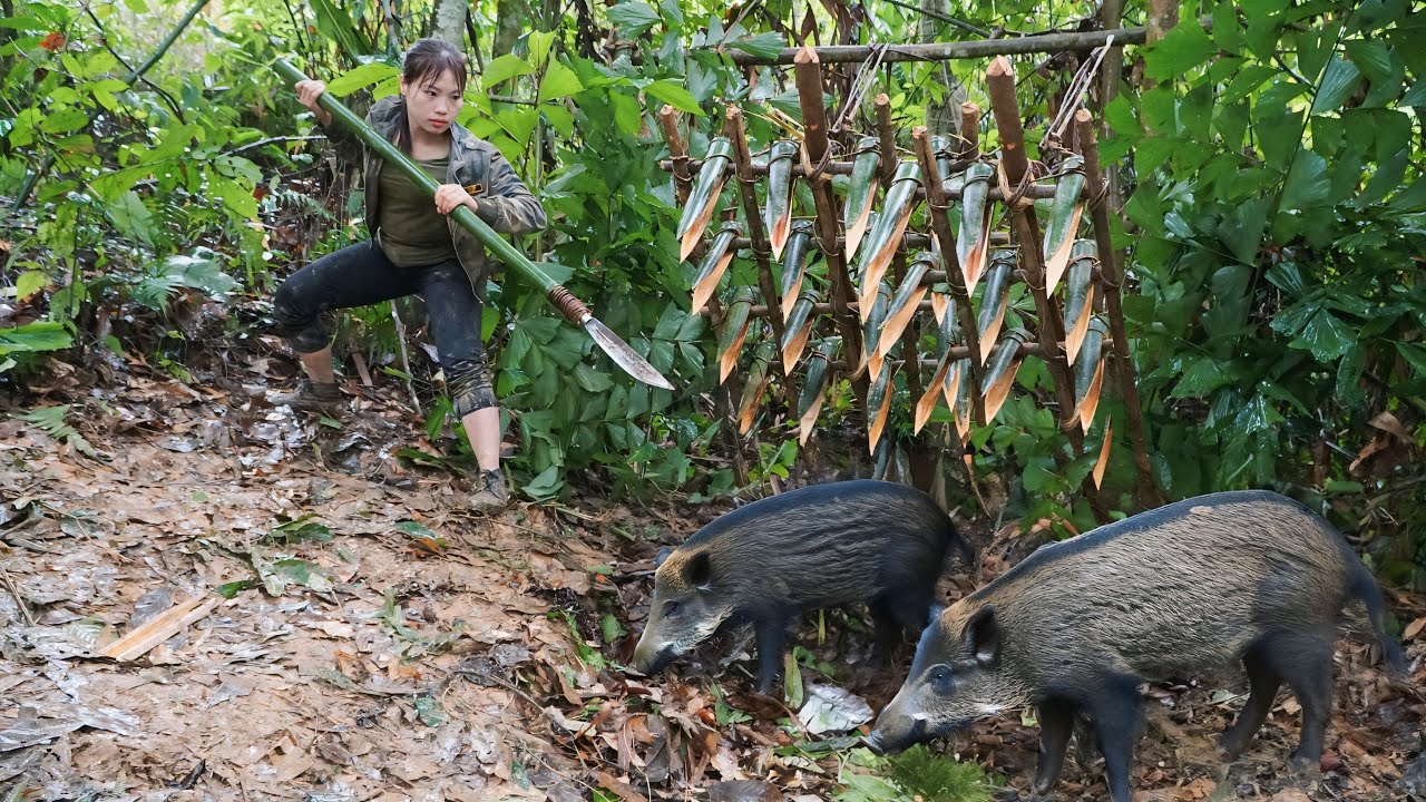 trap making skills, to trap wild boars, survival in the wilderness, survival alone