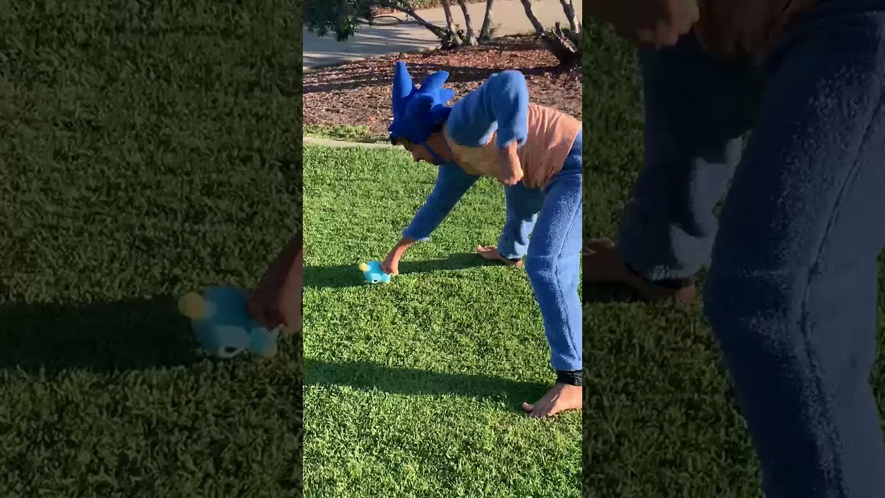 every four year old in the chao garden