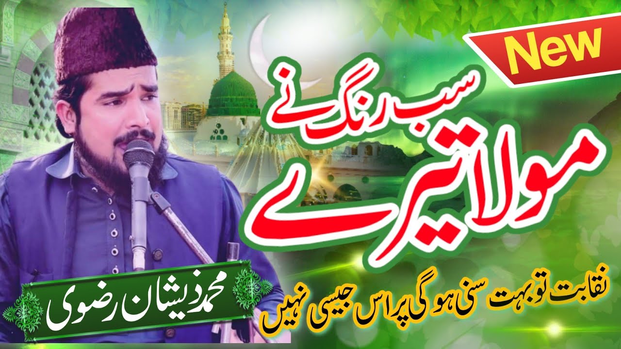 Muhammad Zeshan Rizvi New Naqabat 2024 Sab Rang Ne Moula Tere Burewala Mahfil Chk 114 e.b new 2024
