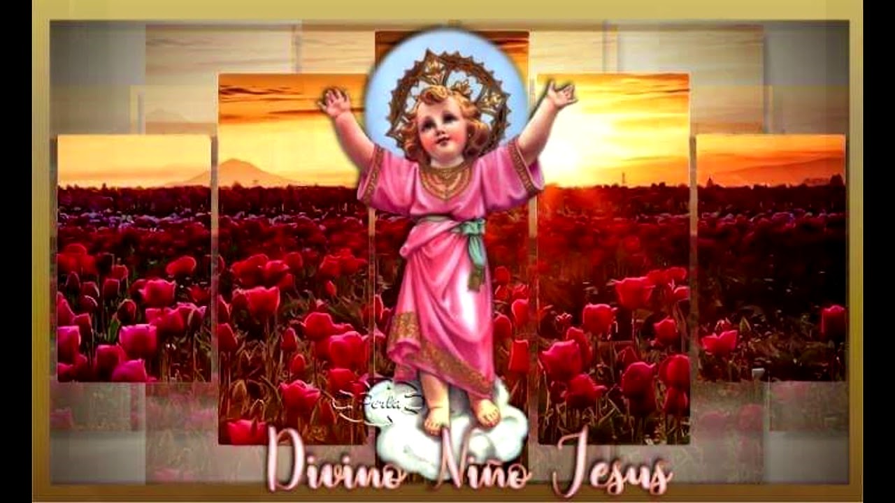 Señor Dios Rey Omnipotente y Eres Abogada (en vivo)