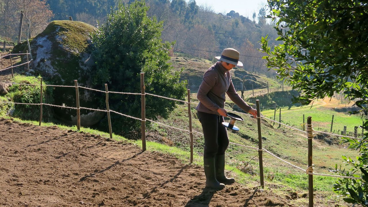 É MUITO ALTA TENHO QUE RESOLVER -VIDA SUSTENTÁVEL NA SERRA-SEMEAR SEMENTES DE INVERNO
