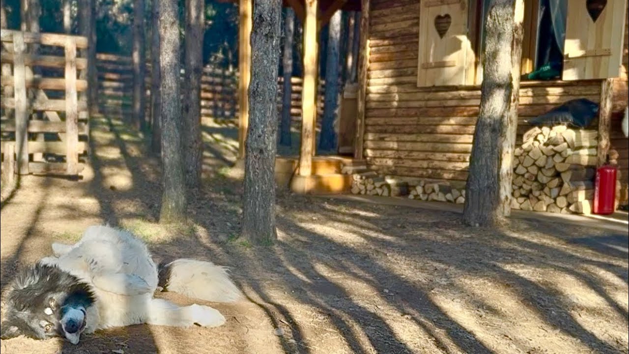 УСЕЩАНЕ ЗА ПРОЛЕТ