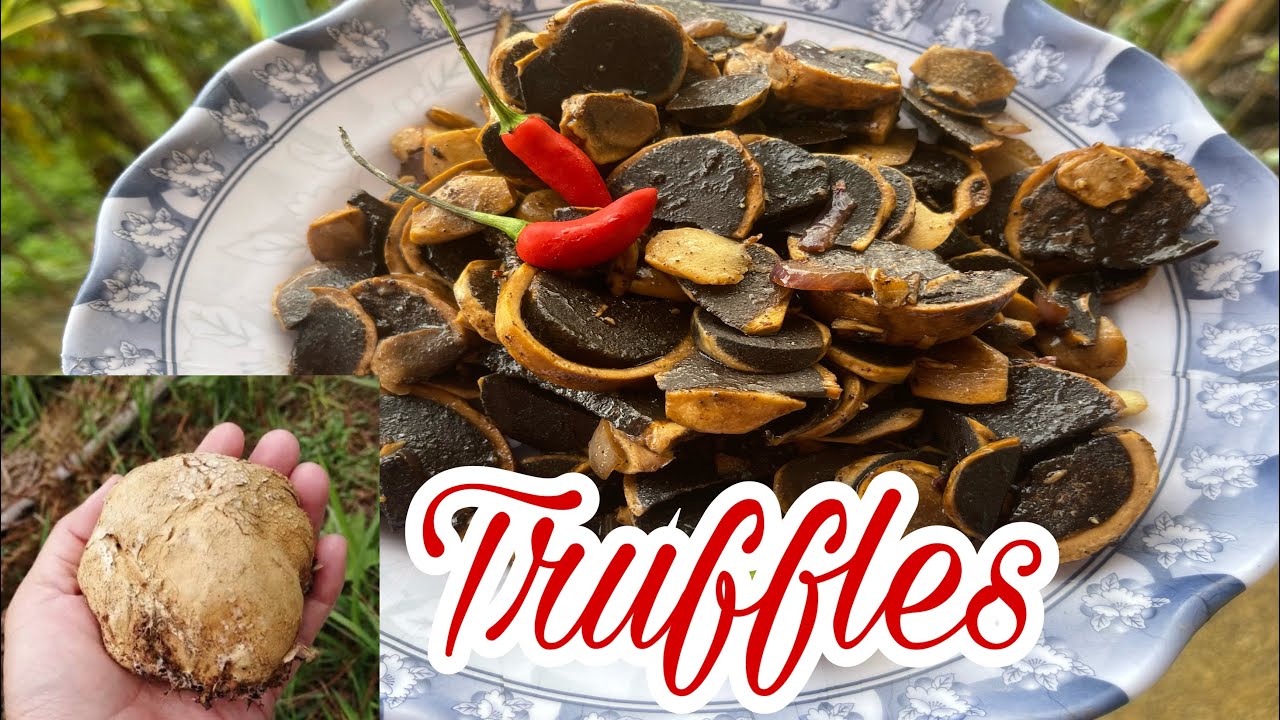 Naghanap at pagluto ng adobong truffles mushroom/bu-o