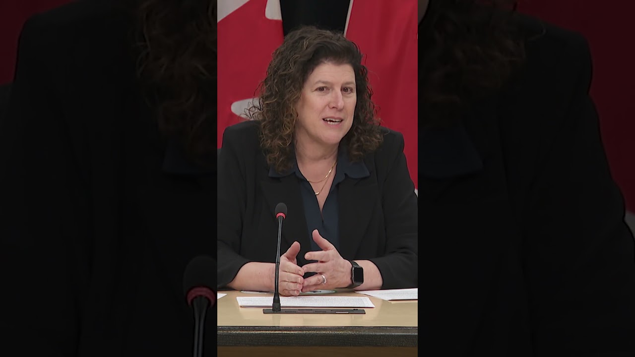 Potential student visa fraud not being probed: auditor general