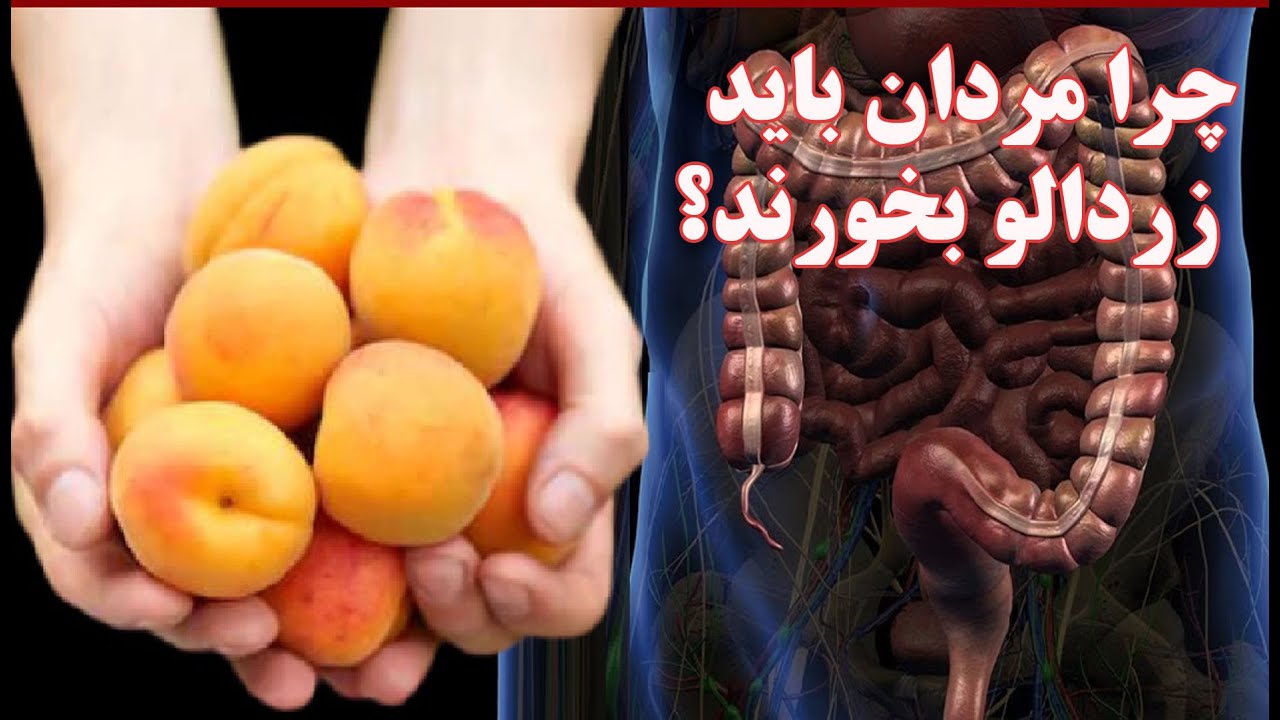 درباره خواص و مضرات زردآلو بیشتر بدانید