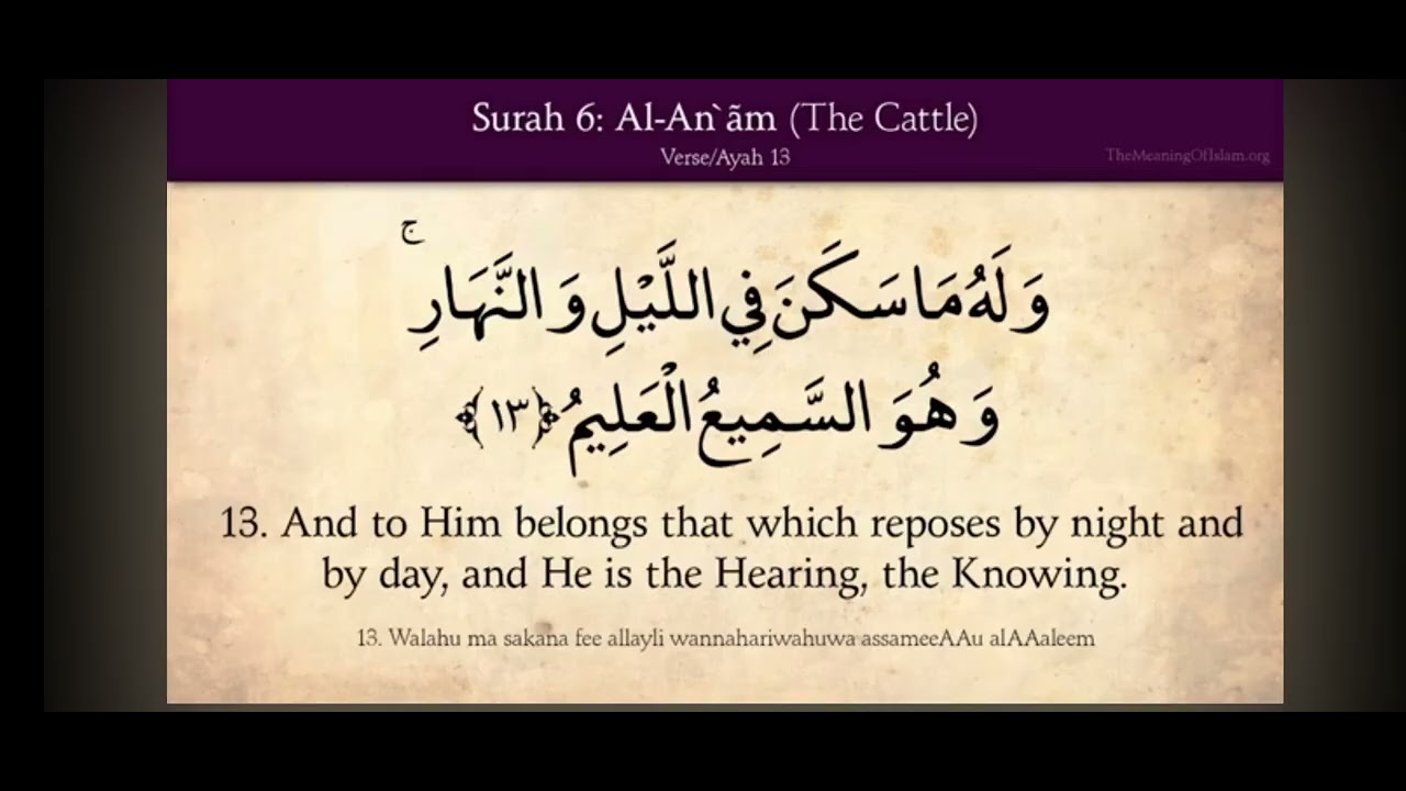 Quran 6 Surat Al-An'am  The Cattle  Arabic and English translation 