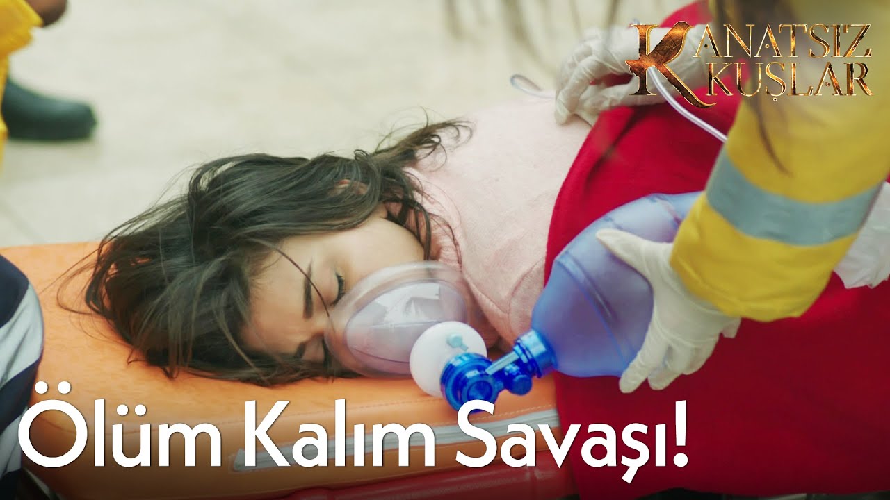 Nefise yaşayacak mı? - Kanatsız Kuşlar🕊🕊