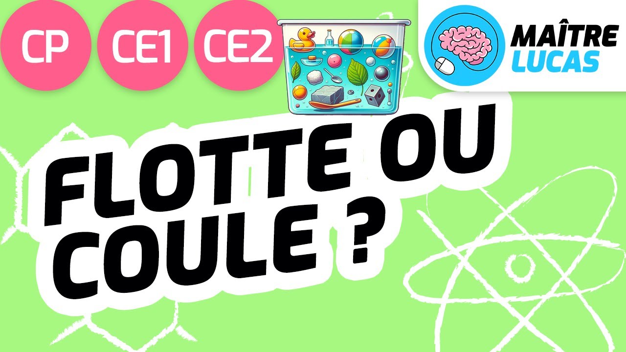 Coule ou flotte ? CP - CE1 - CE2 - Cycle 2 - Questionner le monde - Sciences
