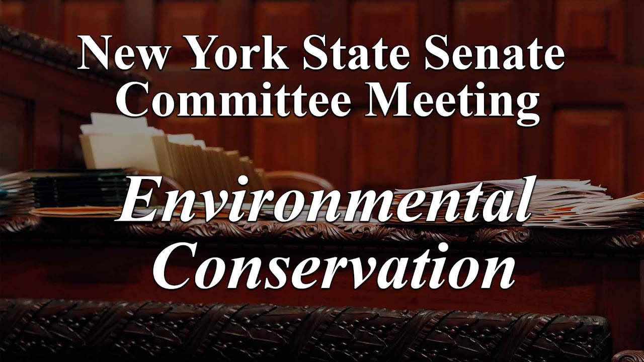 Senate Standing Committee on Environmental Conservation - 02/04/2026