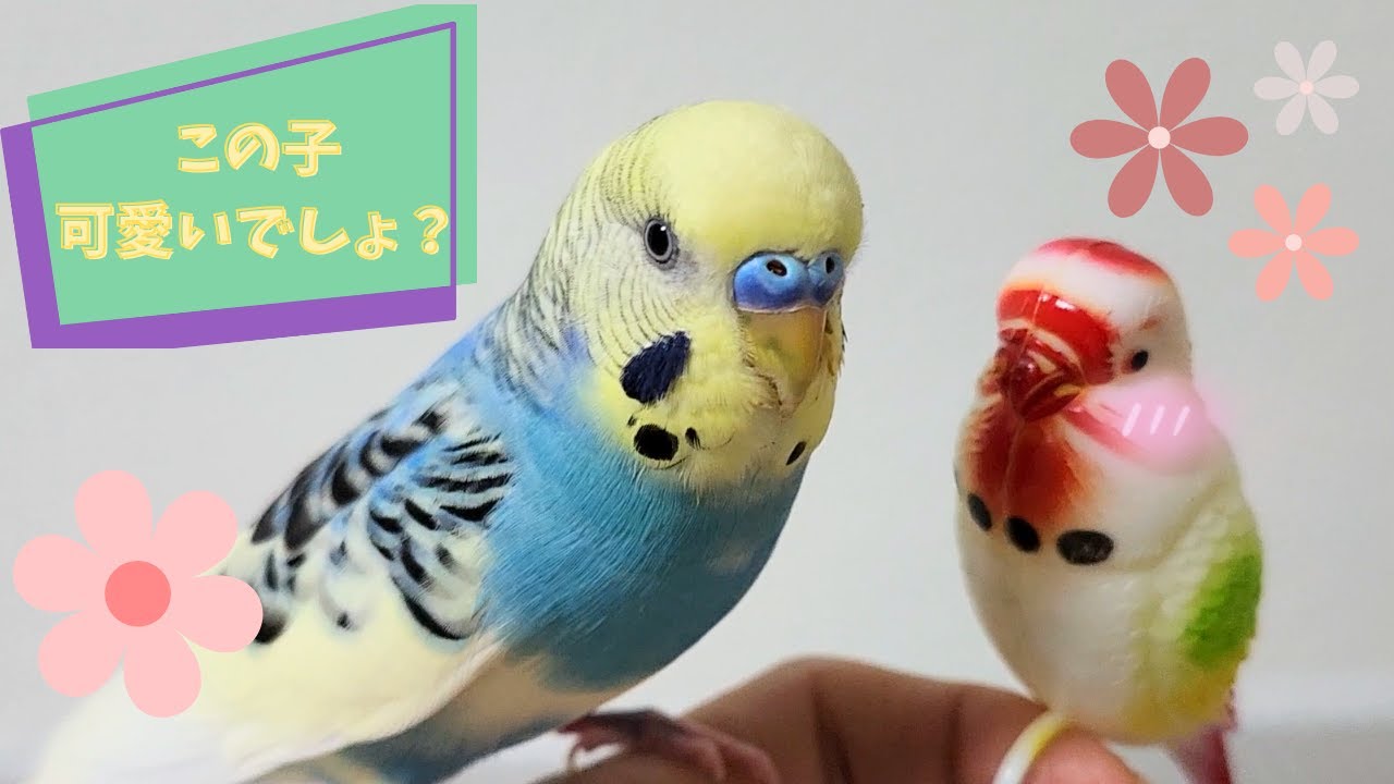 #048 20251216 大好きだ～っ