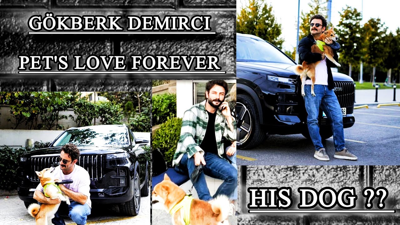 Gökberk demirci concern  pets but his dog#turkishactor#drama#promise#yeminseries#türkiye#hindidubbed