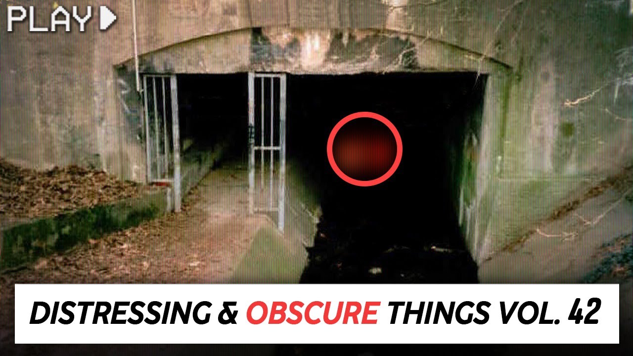 Disturbing Things From our World [Vol. 42]