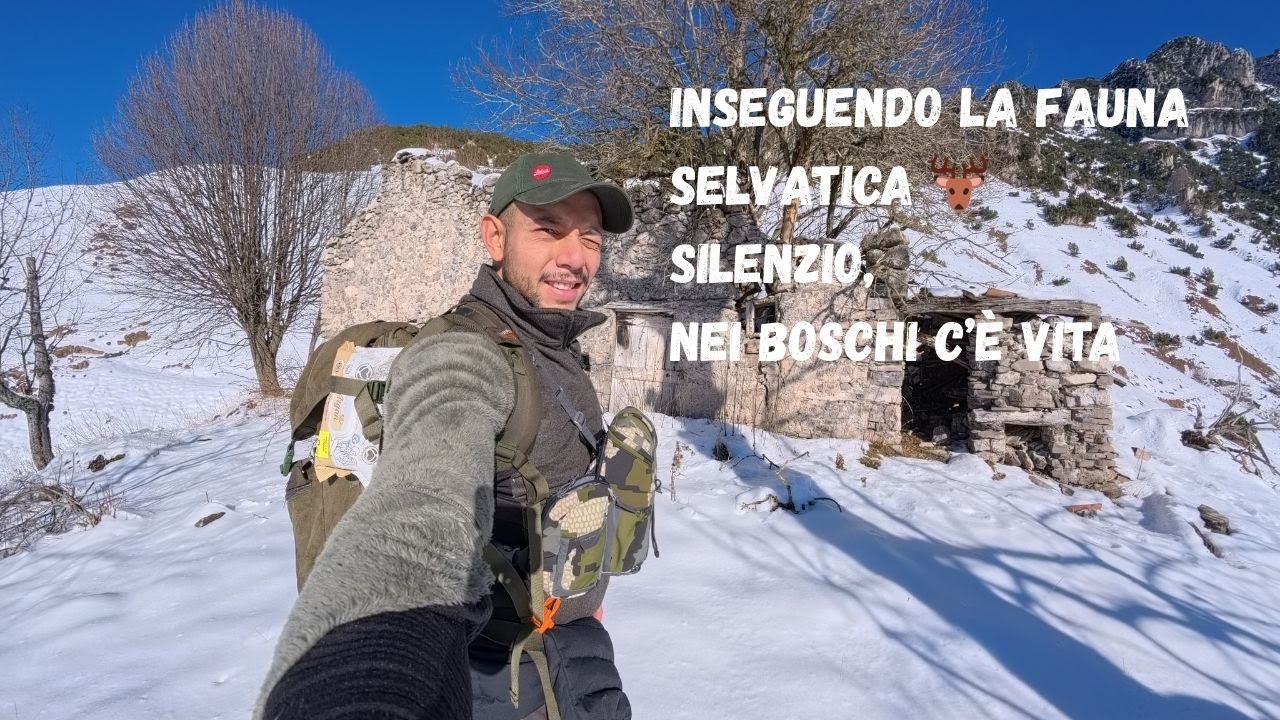 Erano Davanti a Me… Ma Sono Spariti in un Attimo 🫢