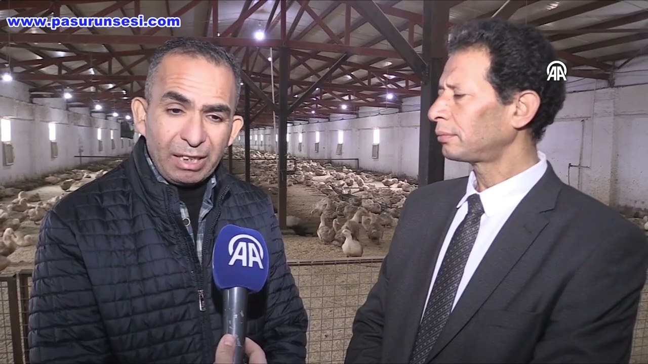 Kütahya'da ördek çiftliğiyle örnek girişimcilik