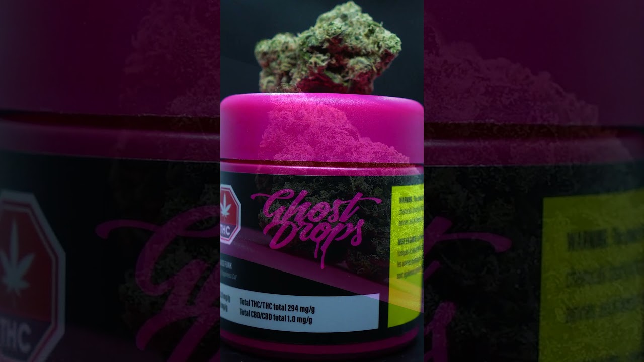 First Class Funk - 29 %THC - 4,39% Terpene  GHOST DROPS (GMO x Jetfuel Gelato) Mendocannabis #shorts