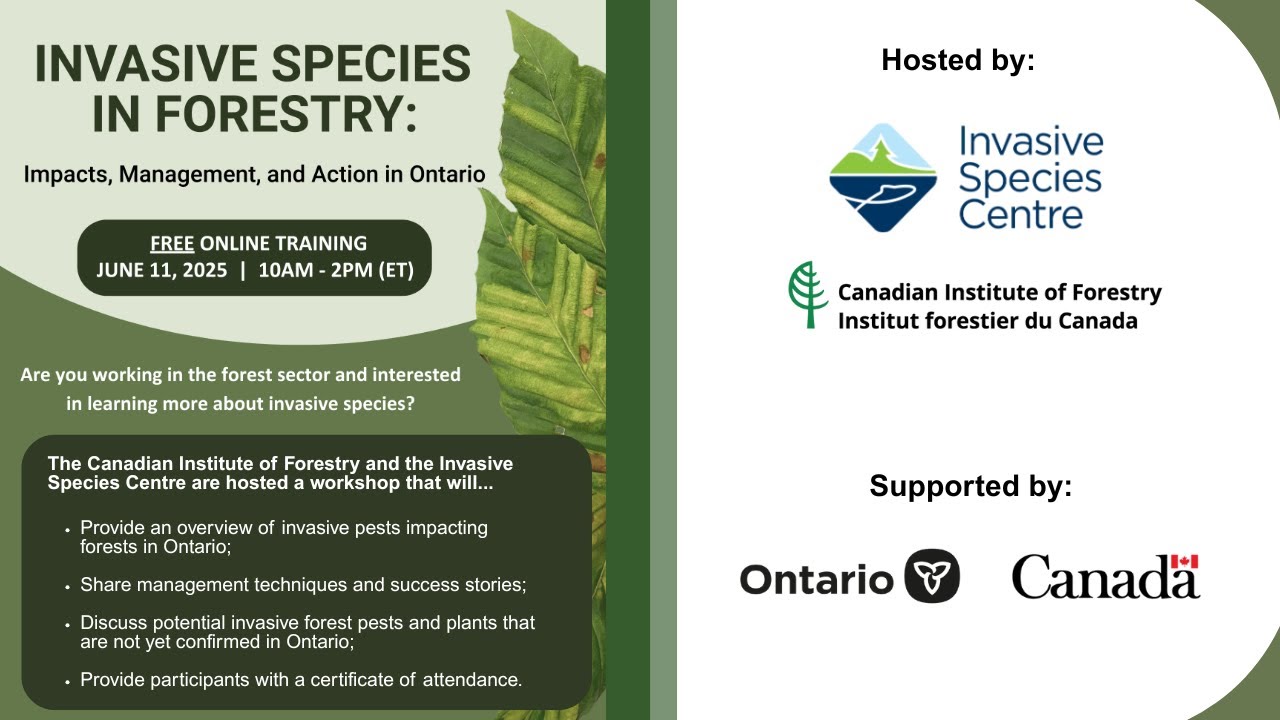 Invasive Species in Forestry: Impacts, Management, and Action in Ontario
